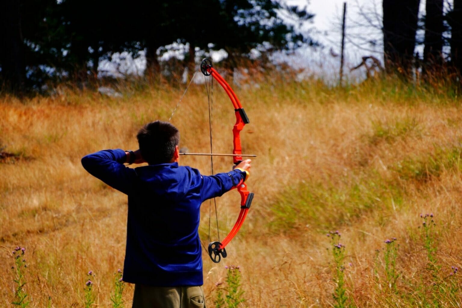 Differences Between Recurve And Compound Bow Complete Guide