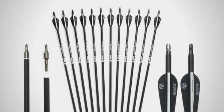 10 Best Arrows For a Recurve Bow in 2021 (Review)